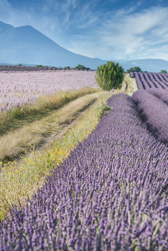 voyage en Provence à velo