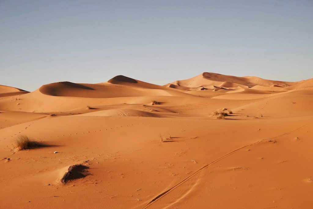 désert du Sahara