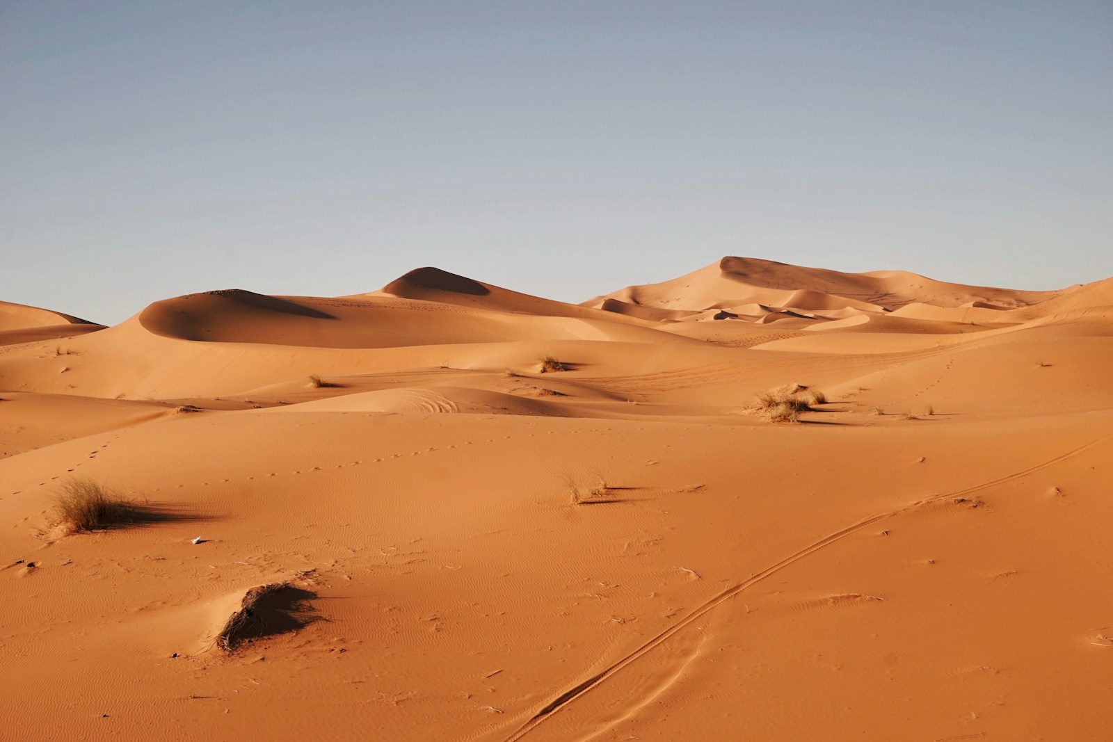 désert du Sahara