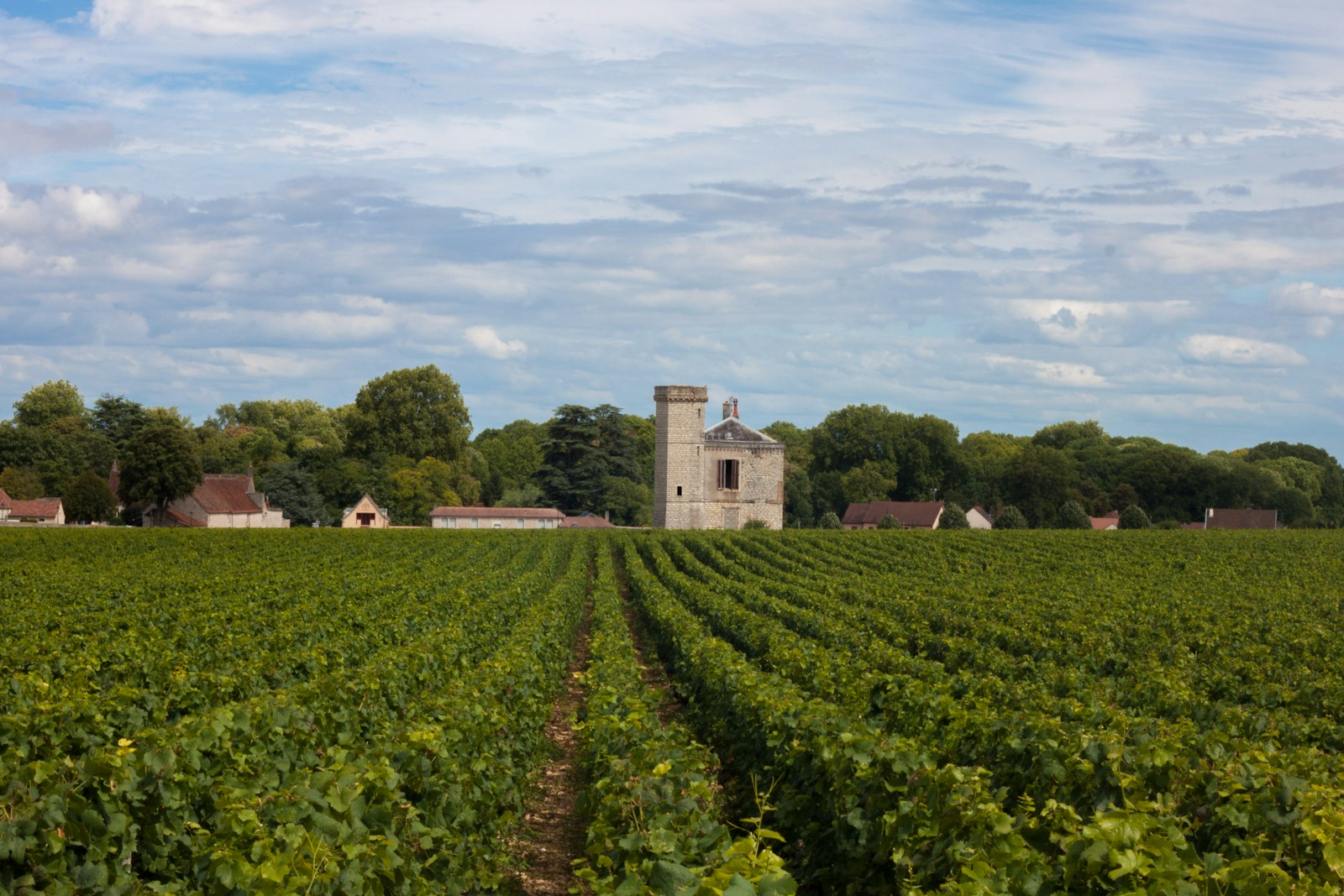 route des vins de bourgogne